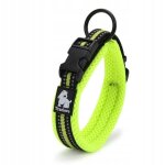 Collier lime pour petits chiens light truelove s