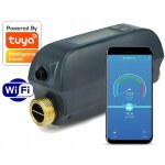 Compteur d'eau domestique rtx tuya contr�l� par wi - fi vanne � bille du compteur de mesure