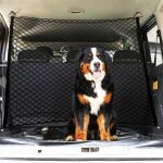 Rhg couche double filet coffre voiture, animaux portable filet voiture pour chien, universelle pour voiture ...