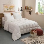 Couette toucher duvet chaude - 240 / 260 - dodo