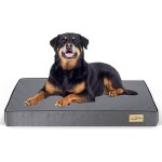 Coussin grand chien d�houssable: panier pour chien orthop�dique grande taille tapis pour chiens lavable ...