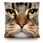 Coussin t�te de chat - 45 cm x 45 cm