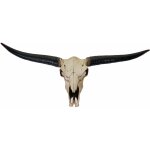 Cr�ne d�coratif 132cm troph�e t�te de taureau longhorn en polyr�sine int�rieur / ext�rieur couleur naturelle ...