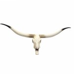 Mendler - crâne de décoration vache hwc - d32, polyresin, trophée de taureau avec cornes, 103x43x11cm ... Mendler - crâne de décoration vache hwc - d32, polyresin, trophée de taureau avec cornes, 103x43x11cm ...