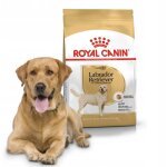 Croquettes royal canin labrador adulte : 12 kg Croquettes royal canin labrador adulte : 12 kg