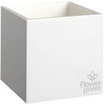 Cubico pot auto irrigant - 21x21cm - blanc flower lover