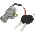 Cylindre de batterie pour scooter �lectrique avec 2 cl�s : mini antivol de s�curit� pour moto et v�lo ...