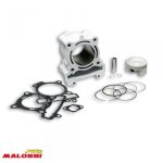 Cylindre malossi pour scooter yamaha 125 vp x - city 2007 � 2016