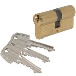 Cylindre tesa te5 - 30x35mm - variure mv2 65976b - laiton - 50303035lka