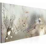 D�cor � la maison impression sur toile peinture art mural perles de ros�e � la maison blowball ?impression ...