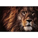 Lana deco - dcoration murale lion verre trempe marron 120x1x100cm