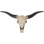 D�coshop26 - t�te de taureau d�coration murale 75cm troph�e longhorn en polyr�sine int�rieur / ext�rieur ...