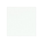 D�coweb - moquette stand expo - blanc - echantillon 7 x 10 cm
