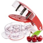 Dnoyauteur  cerises - dnoyauteur  cerises multiples avec tige en acier inoxydable et rcipient  ...