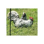 Direct filet - poulailler amovible 25m (filet + piquets)