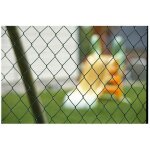 Dirickx - grillage simple torsion plastex premier 5024 vert 1m00 - 25ml