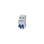 Disjoncteur bipolaire 2p - 40a - 10ka - courbe c - À vis - imo Disjoncteur bipolaire 2p - 40a - 10ka - courbe c - À vis - imo