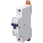 Disjoncteur de ligne 1 p�le 16 a gewiss gw92508