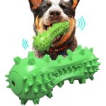 Dog chew toy, dog toothbrush, interactive squeaky toy for small, medium and large breeds, green