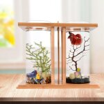 Dual chamber bamboo desktop aquarium - mini betta fish tank with led light, 360� view glass tanks for ...