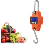 �chelle de grue - mini �chelle num�rique portable lcd �lectronique suspendue �chelle de jeu �chelle de ...