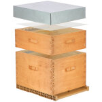Ruche lasur�e dadant 10 cadres + hausse - plusieurs mod�les disponibles - ch�ne fonc�