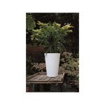 Elbi - vase rond haut en r�sine 'lilium' h 76cm moderne effet ray� - couleur : blanc - colore: bianco ...