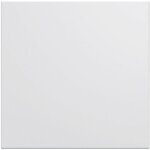 Enjoliveur interrupteur a voyant gallery 1 module titane hager wxd011t