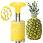 Outil de cuisine facile en acier inoxydable fruits ananas plucheur carottier trancheuse coupe