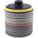 Ensemble de 16 disques de polissage diamant�s de 100 mm (4 pouces) pour le polissage � sec et � l'eau ...