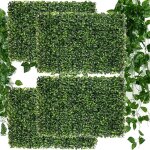 Ensemble de 6 plantes d�coratives : haie, mur v�g�tal, buis, lierre