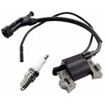 Ensemble comprenant une bobine d'allumage et une bougie d'allumage pour le groupe lectrogne berlan ...