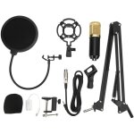 Ensemble microphone � condensateur et carte son, kit micro de studio professionnel avec bras articul� ...