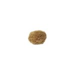 Eponge mer naturelle 15 / 17 cm