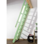 Matisre - escalier de meunier: 55cm de large - hauteur  franchir 3m - couleur : vert pastel (ral 6019) ...