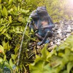 Esotec gargouille couple de grenouilles + pompe de bassin solaire figure de bassin jeu d'eau 101657