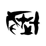Stickers oiseaux pour fen�tre