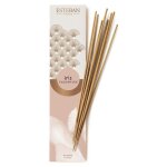 Esteban - encens indien iris cachemire