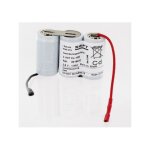 Exalium premium - batterie saft 3. 6v 1. 6ah 3 vntcs cosses faston pour baes