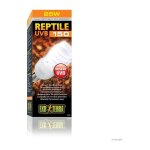 Ampoule fluocompacte uvb pour terrarium exo terra reptile uvb 150 - climat d�sertique 26w
