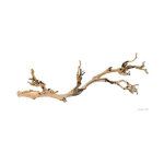 Decoration pied de vigne sable - grand modele - pour terrarium - exo terra