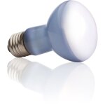 Exoterra lampe daylight baskingspot 50w - pour terrarium 78800138 Exoterra lampe daylight baskingspot 50w - pour terrarium 78800138