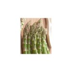 Asperge voltaire - 10 griffes - graines de l�gumes