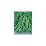 Haricot nain cupidon - graines de lgumes - 150 g
