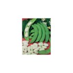 Haricot rames d espagne blanc - graines - 150 g