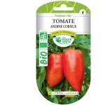 Graines tomate andine cornue bio les doigts verts