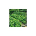Filet a ramer - 5 x 2 m - protection