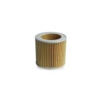Filtre permanent pour aspirateur karcher