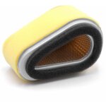 Filtre (1x prfiltre, 1x filtre  air) remplacement pour wolf 2090417 pour tondeuse  gazon - 10, 2 x ...