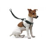 Harnais dentrainement easy walker m offre exclusive